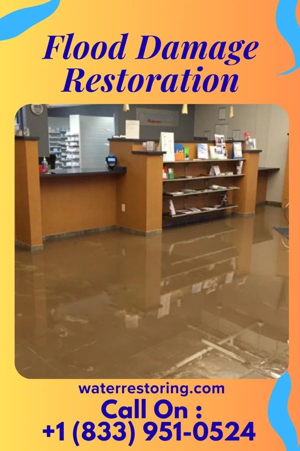 Flood Damage Restoration in Carolina, AL